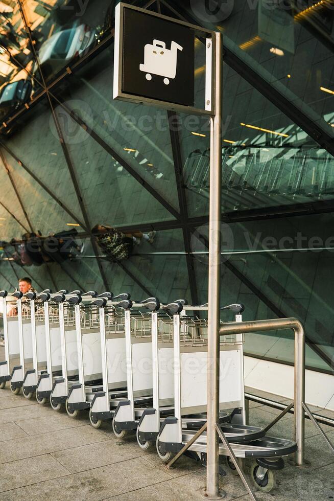 A row of luggage carts photo