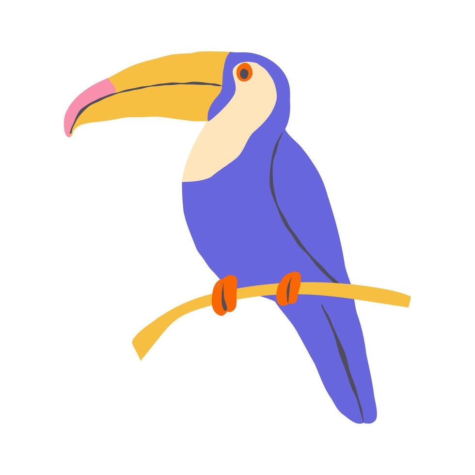 Toucan, tropical brightly coloured bird on white background vector