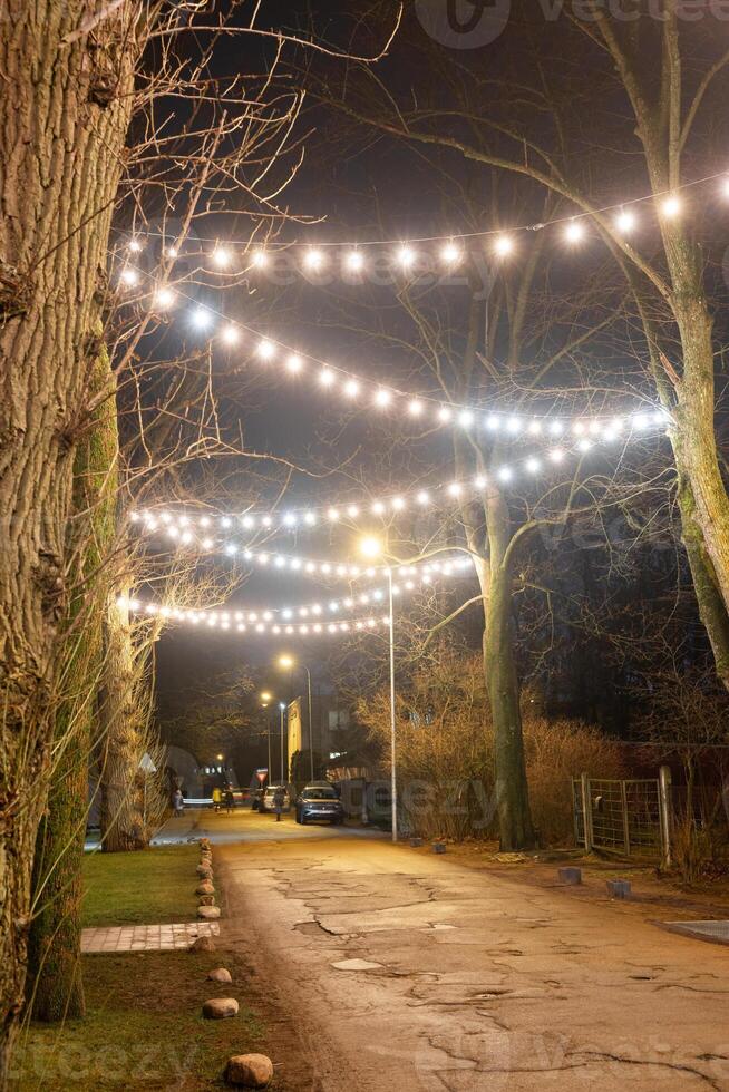 A nighttime view of a street with glowing string lights, leafless trees, parked cars, grass patches, scattered stones, and residential buildings. photo