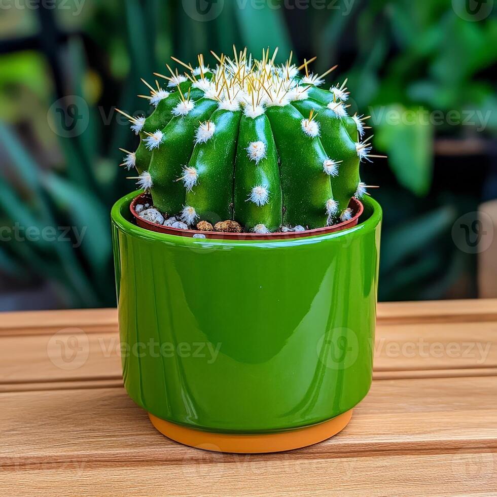 A cactus plant in a green pot on a table photo