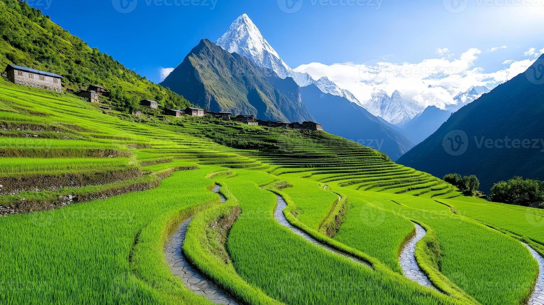 The rice terraces in the mountains of tibet photo
