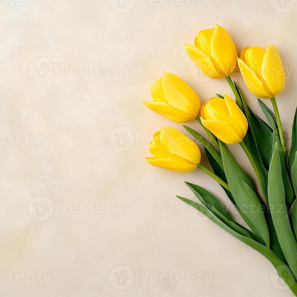 Yellow tulips on a beige background photo