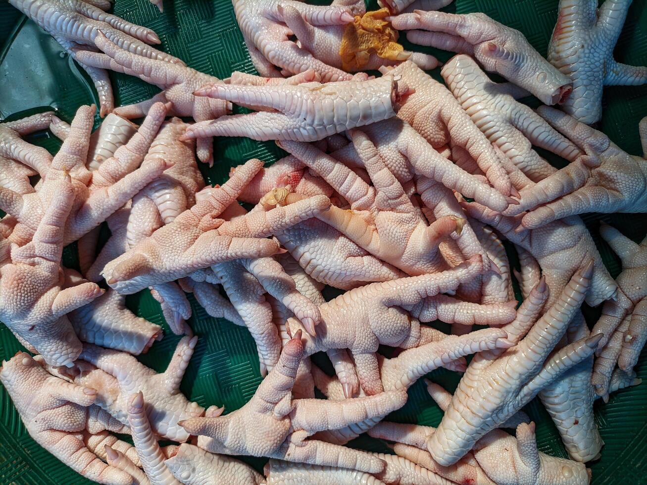 Close up of Raw chicken feet or ceker ayam are a basic ingredient that can be used for seblak photo