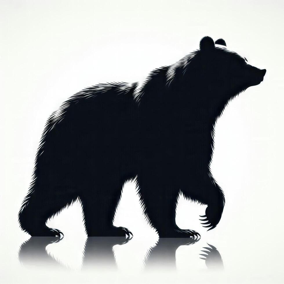Bear Walking Isolated On White photo