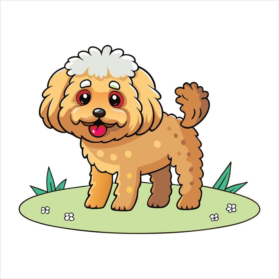 Bichon Frise dog vector