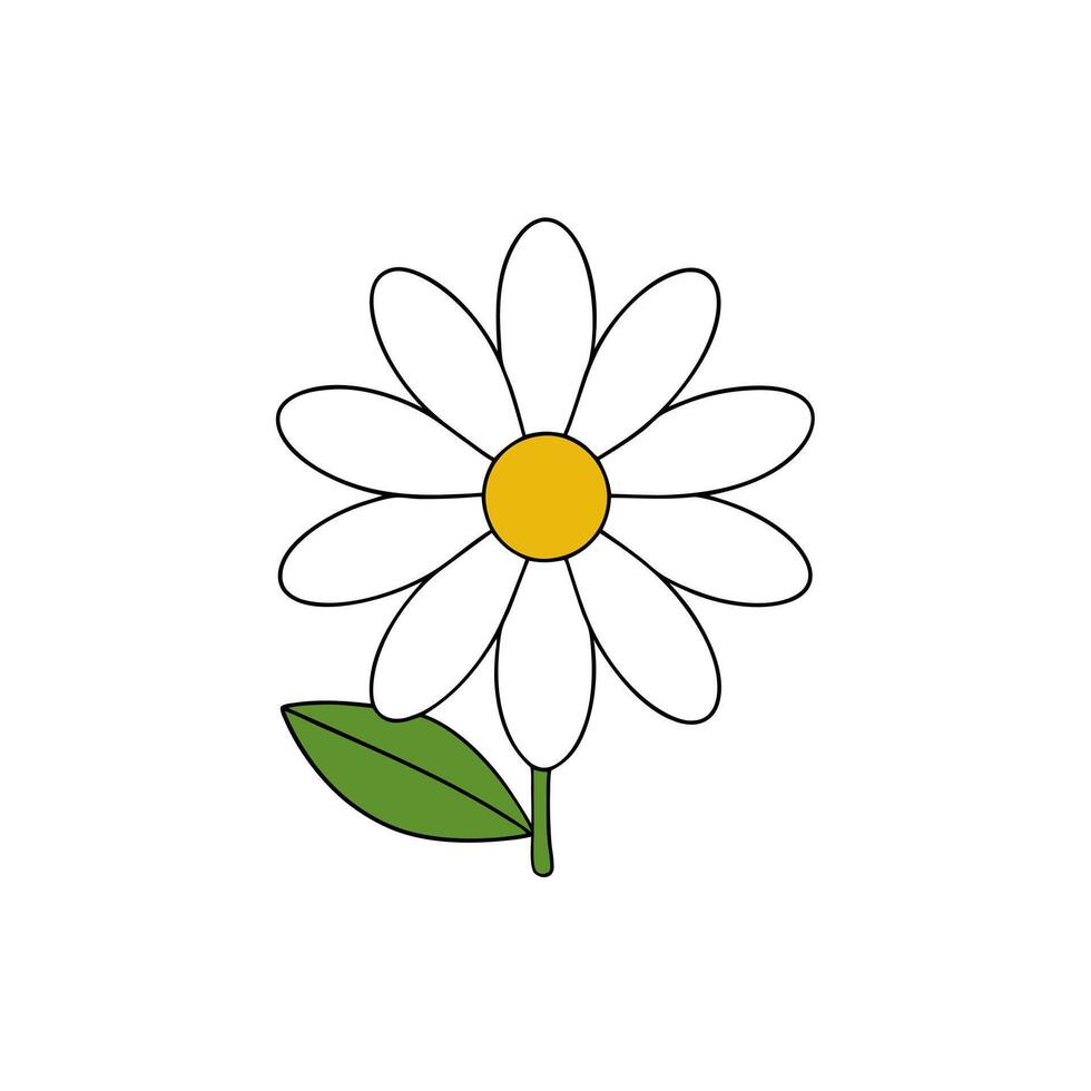 Intricate Floral Border Design Elements and Style vector