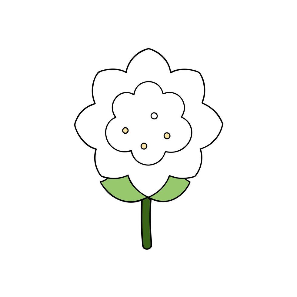 Elegant Floral Elements Design for Decorative Border Headings vector