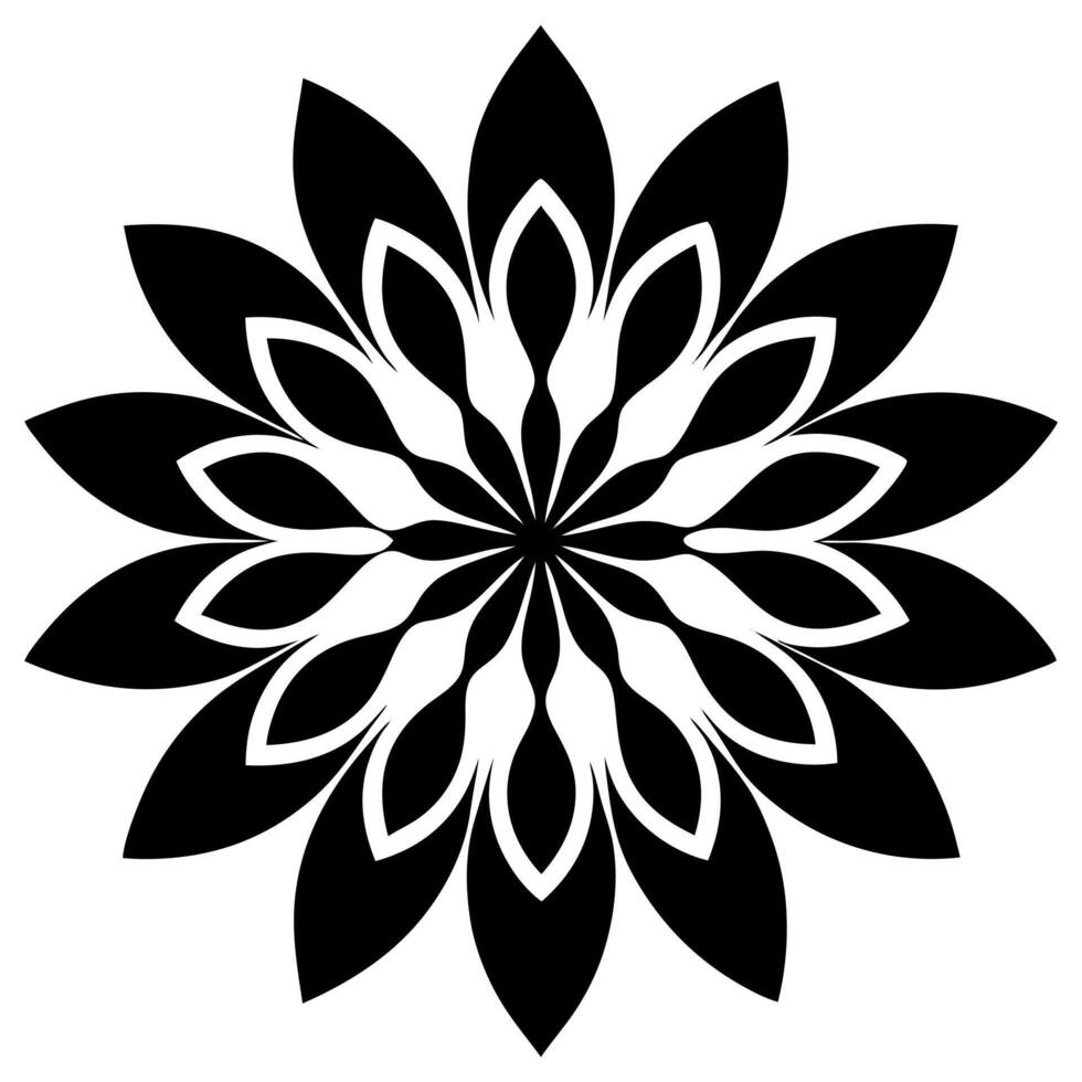 Beautiful Floral Elements Borders and Headings Classic Design vector