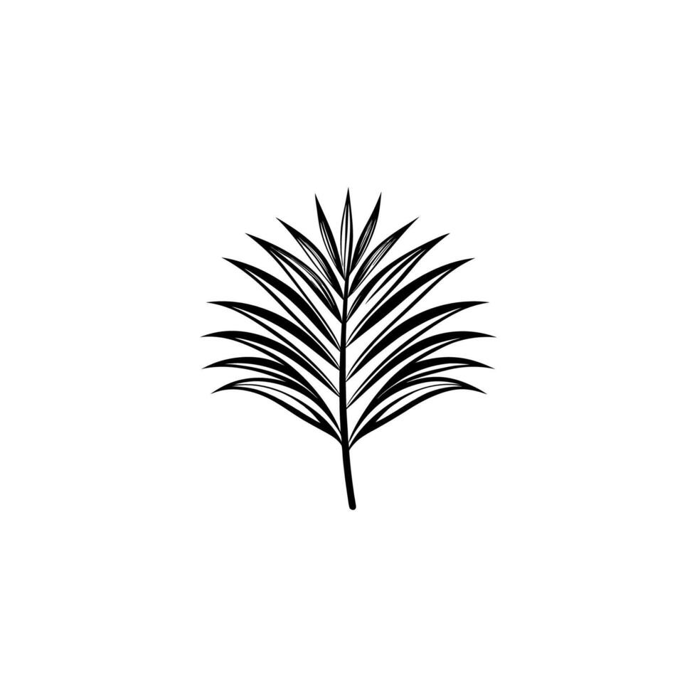 Tropical black and white palm leaves vector