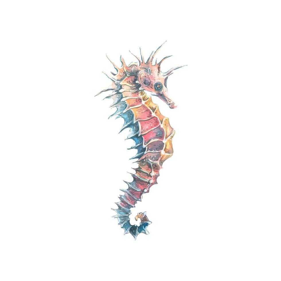 Watercolor illustration of a seahorse isolated object on a white background. Colorful, beautiful. Underwater world. For the design of postcards, posters, stickers, designs, patterns. vector