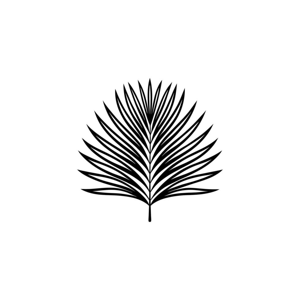 Palm tree leaf vector