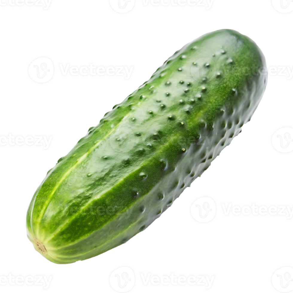 a cucumber is shown on a transparent background png