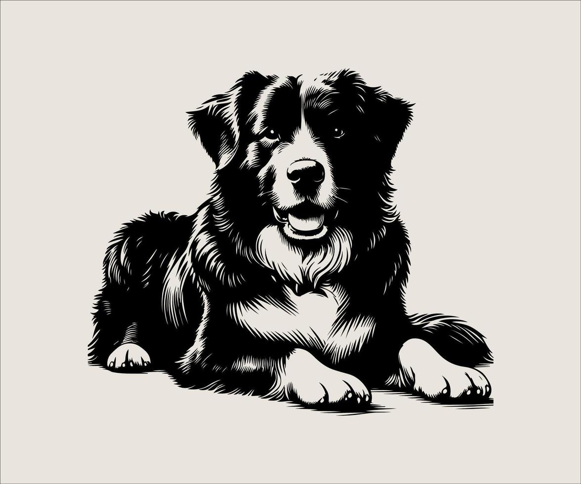 a black and white drawing of a border collie dog vector