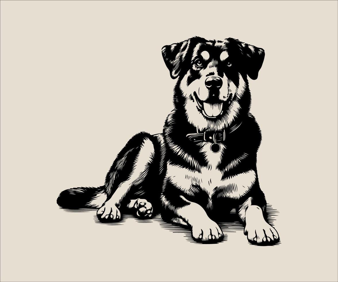 a black and white illustration drawing of a dog vector