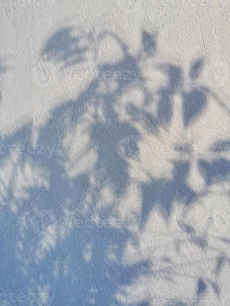Vertical background with shadows of foliage cast against a textured wall on a sunny day photo