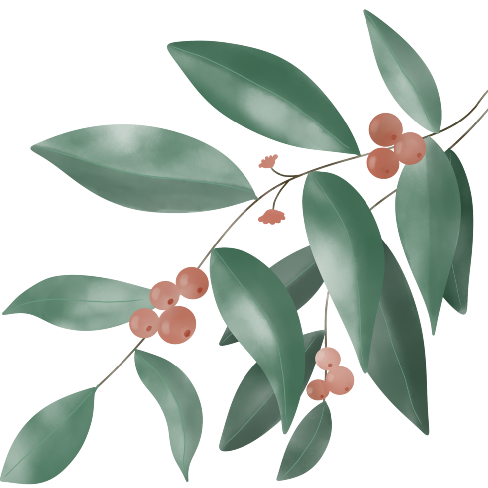An elegant illustration of a branch with green leaves and small red berries. png