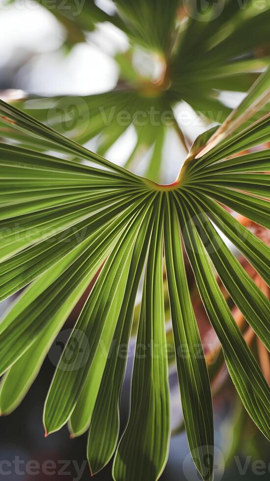Vibrant green leaf with veins showcased under soft lighting against blurred background Vertical Mobile Wallpaper photo