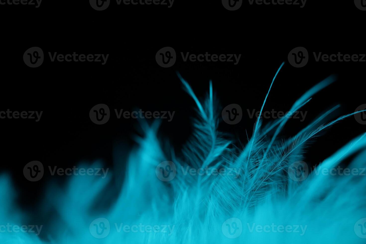 White feather texture abstract on black background, bird feather, soft natural texture on dark background photo