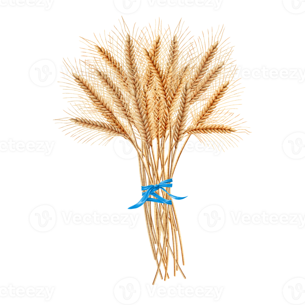 Sheaves of wheat with blue Bow in vertical orientation png
