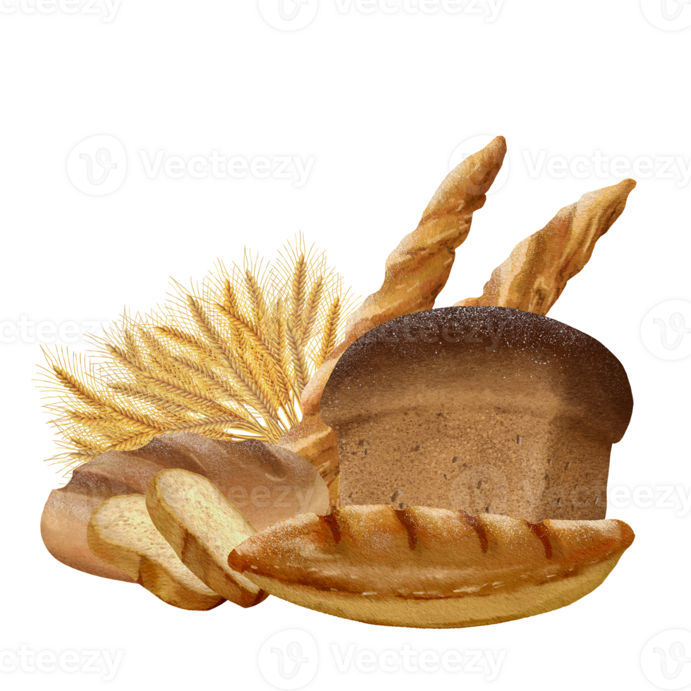 Bread and Loaves with its Slices png