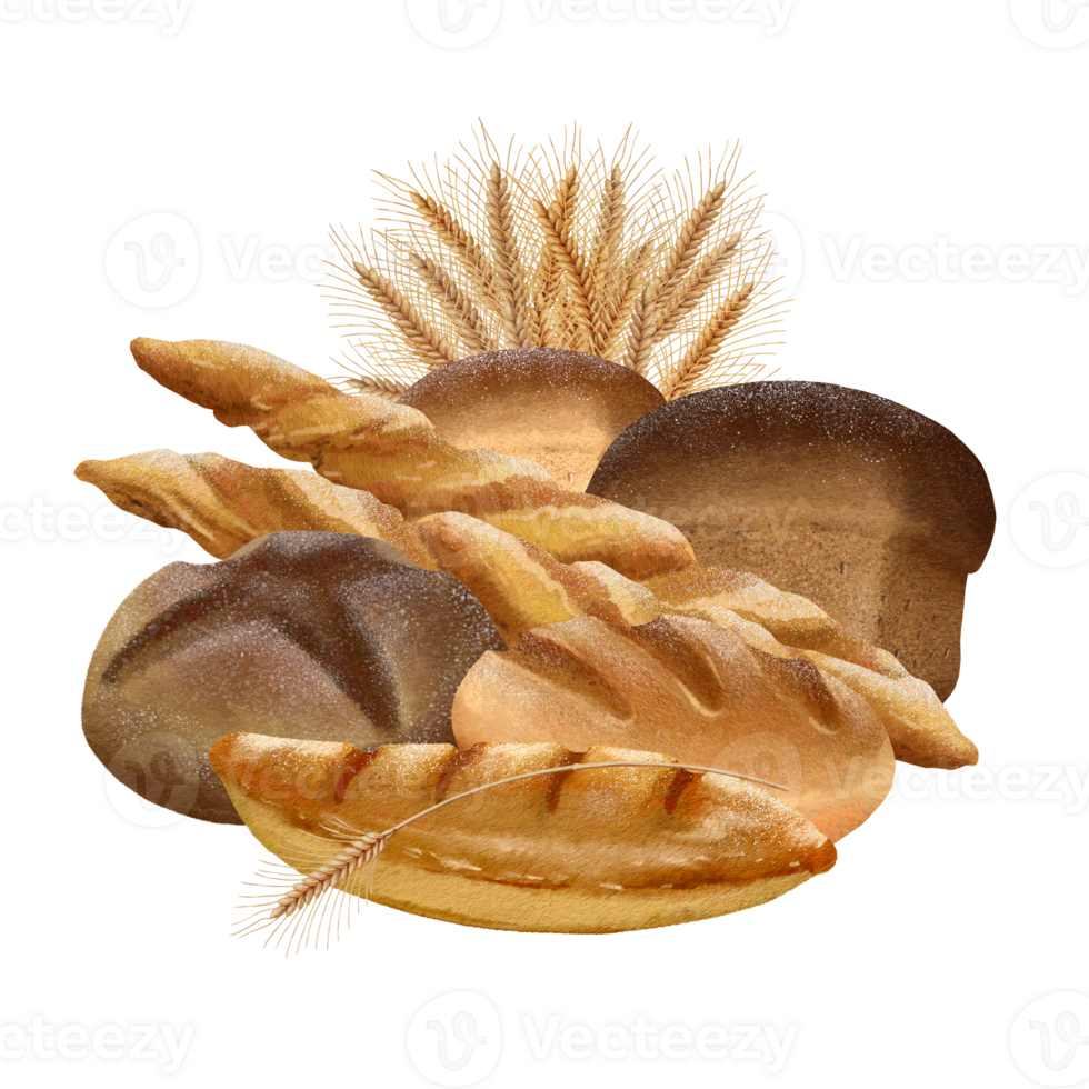 different types of bread and wheat ears png
