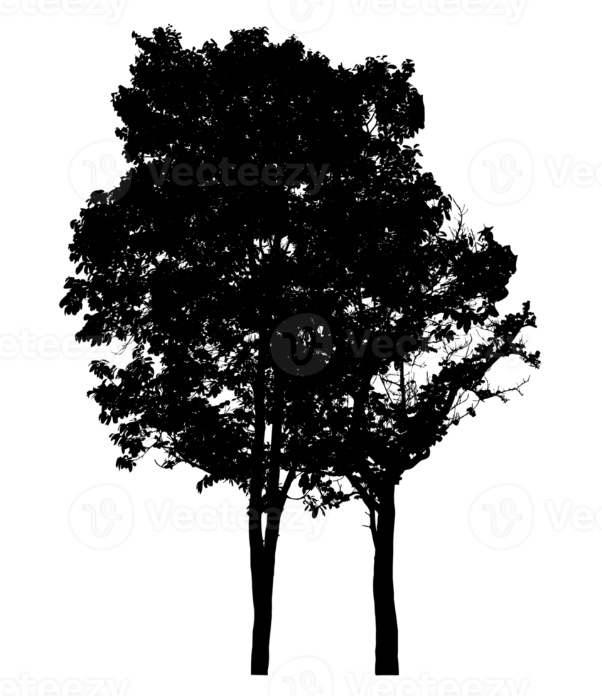 Isolated trees silhouette on transparent background png