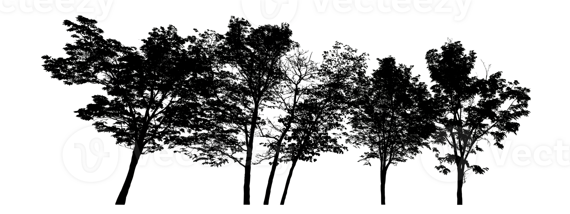 Isolated group trees silhouette on transparent background, high resolution png