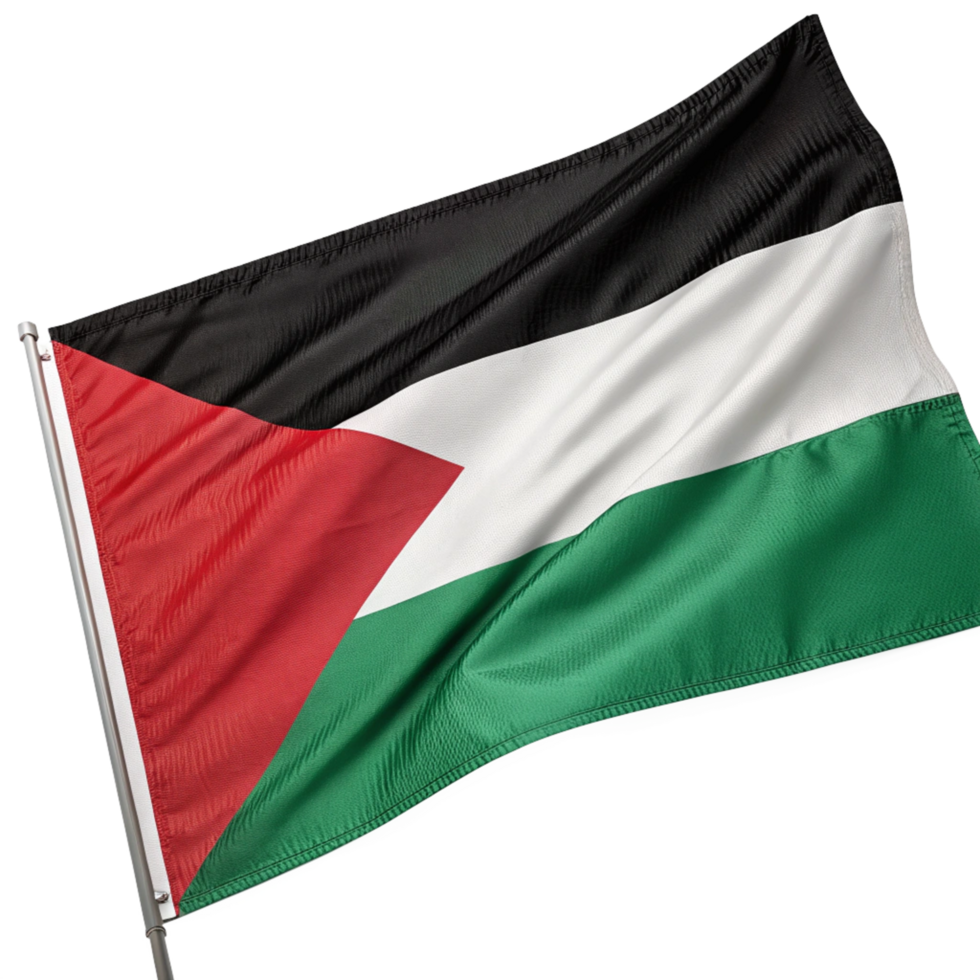 3d palestine flag is isolated on transparent background png