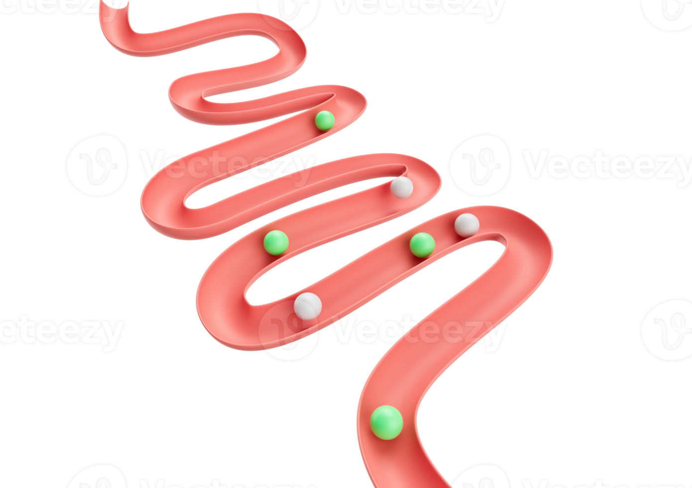 Human Gut Model Digestive System Or Intestinal Tract With Balls Rolling Down, 3D Illustration png