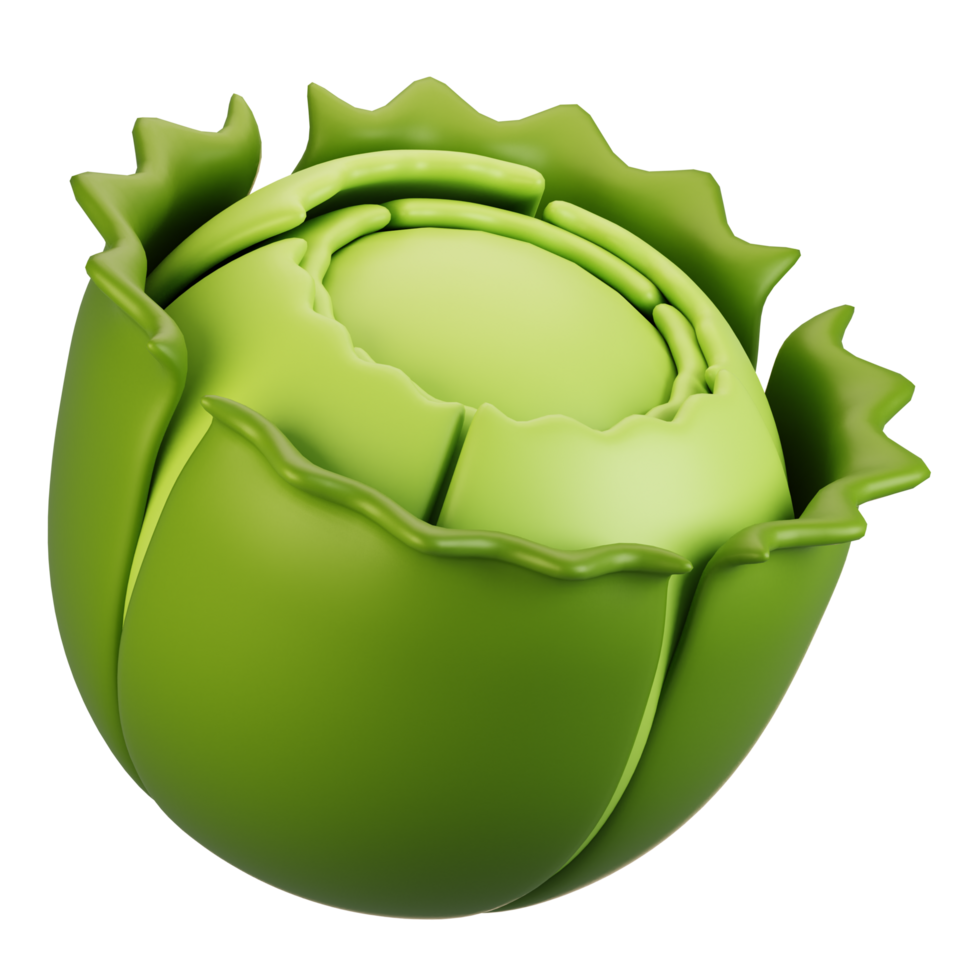 3d rendering vegetables icon concept. 3d render cabbage icon png
