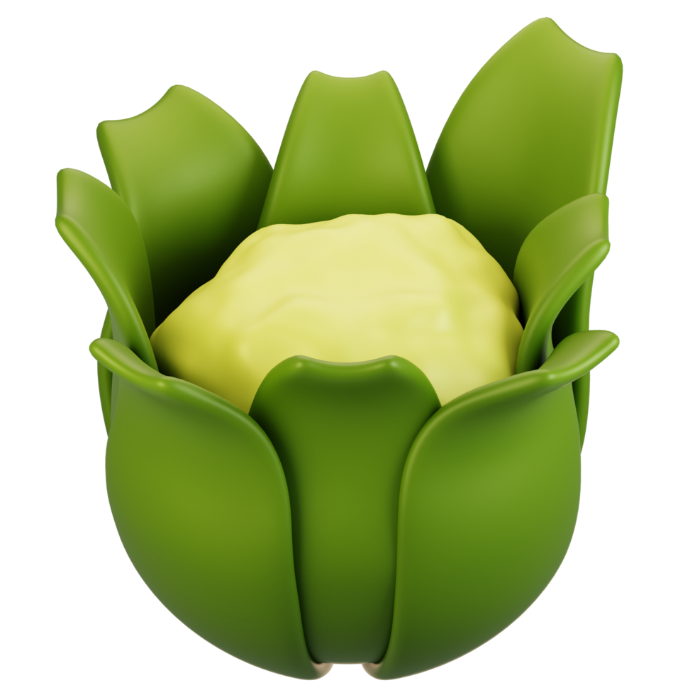 3d rendering vegetables icon concept. 3d render cauliflower icon png
