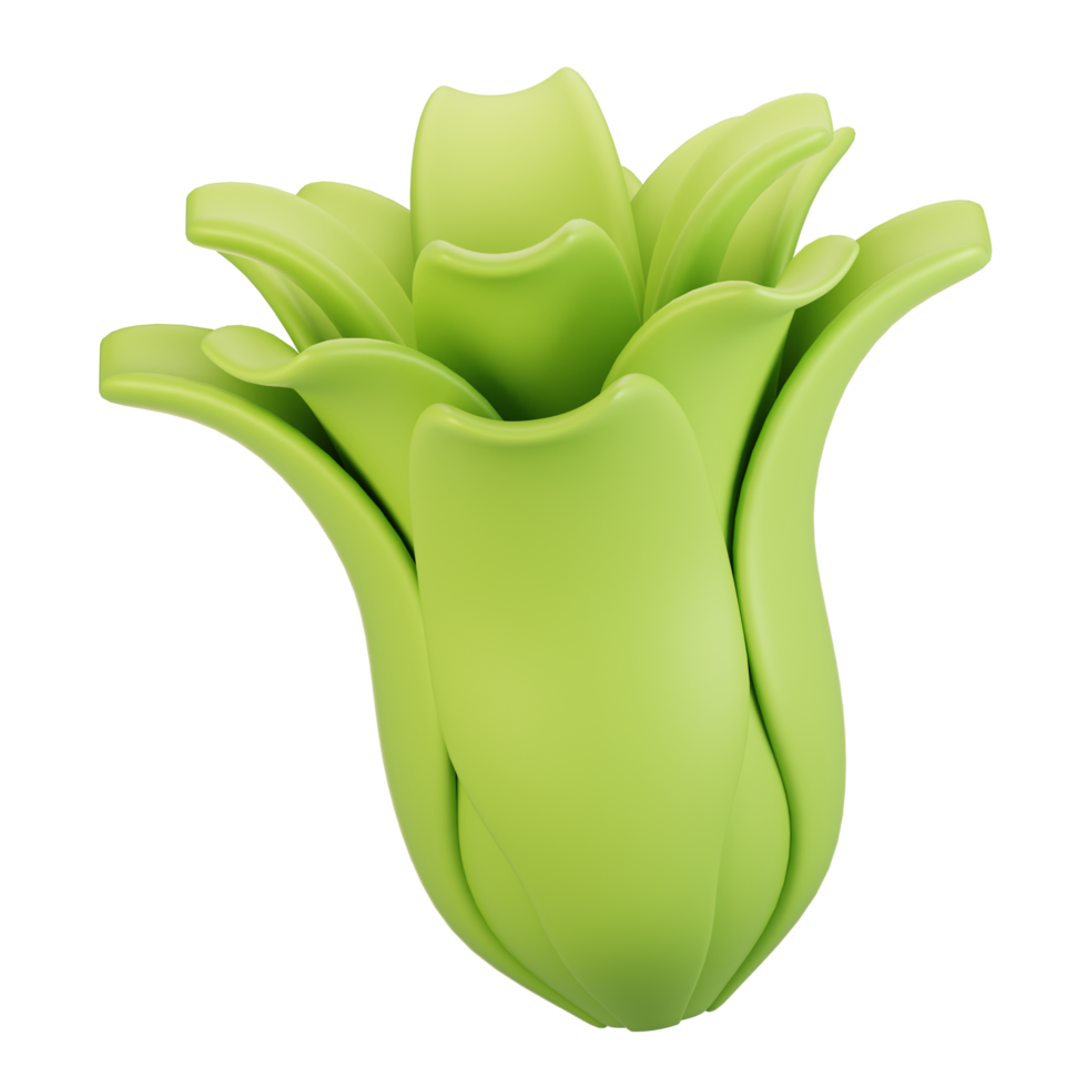 3d rendering vegetables icon concept. 3d render lettuce icon png