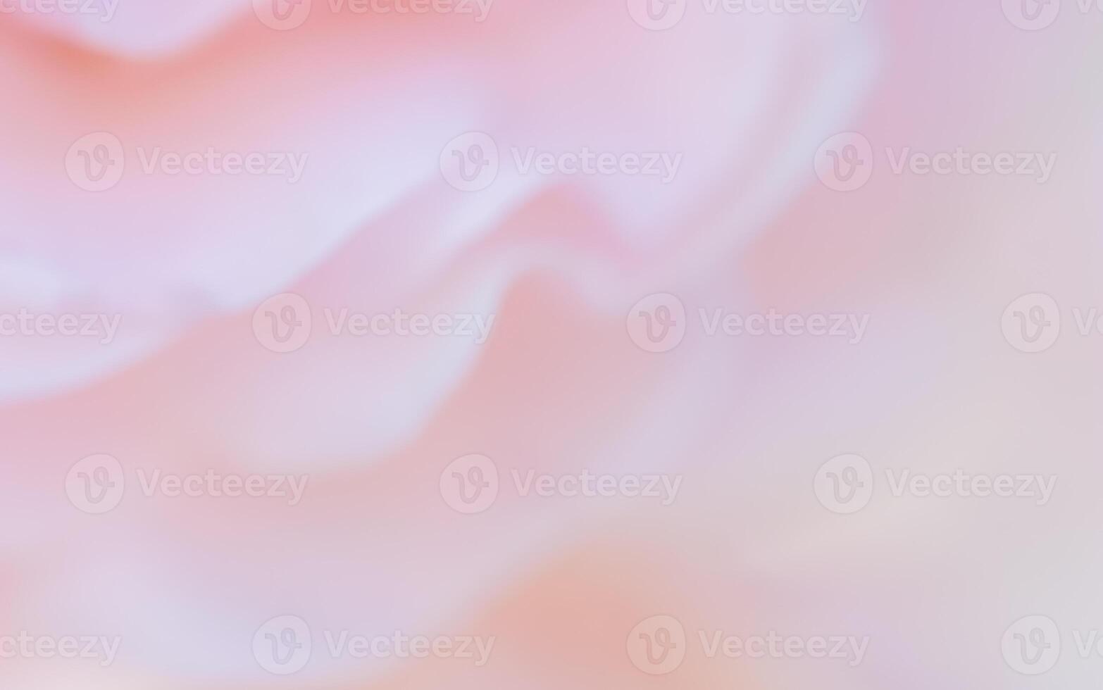 Soft focus, abstract floral background, pink rose flower petals. Macro flowers backdrop for holiday design photo