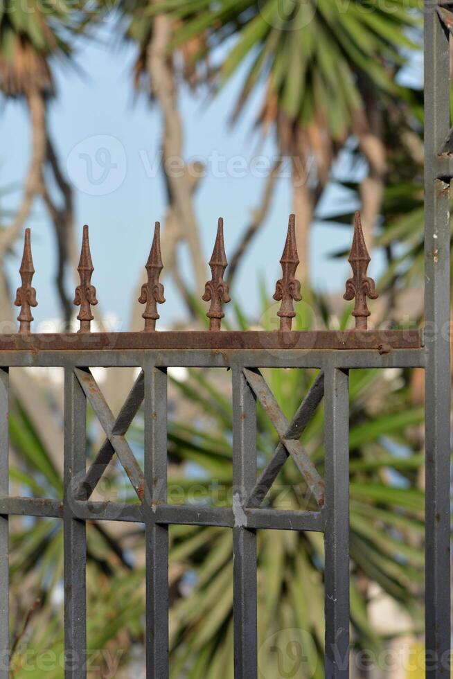 a fence with iron spikes and palm trees photo