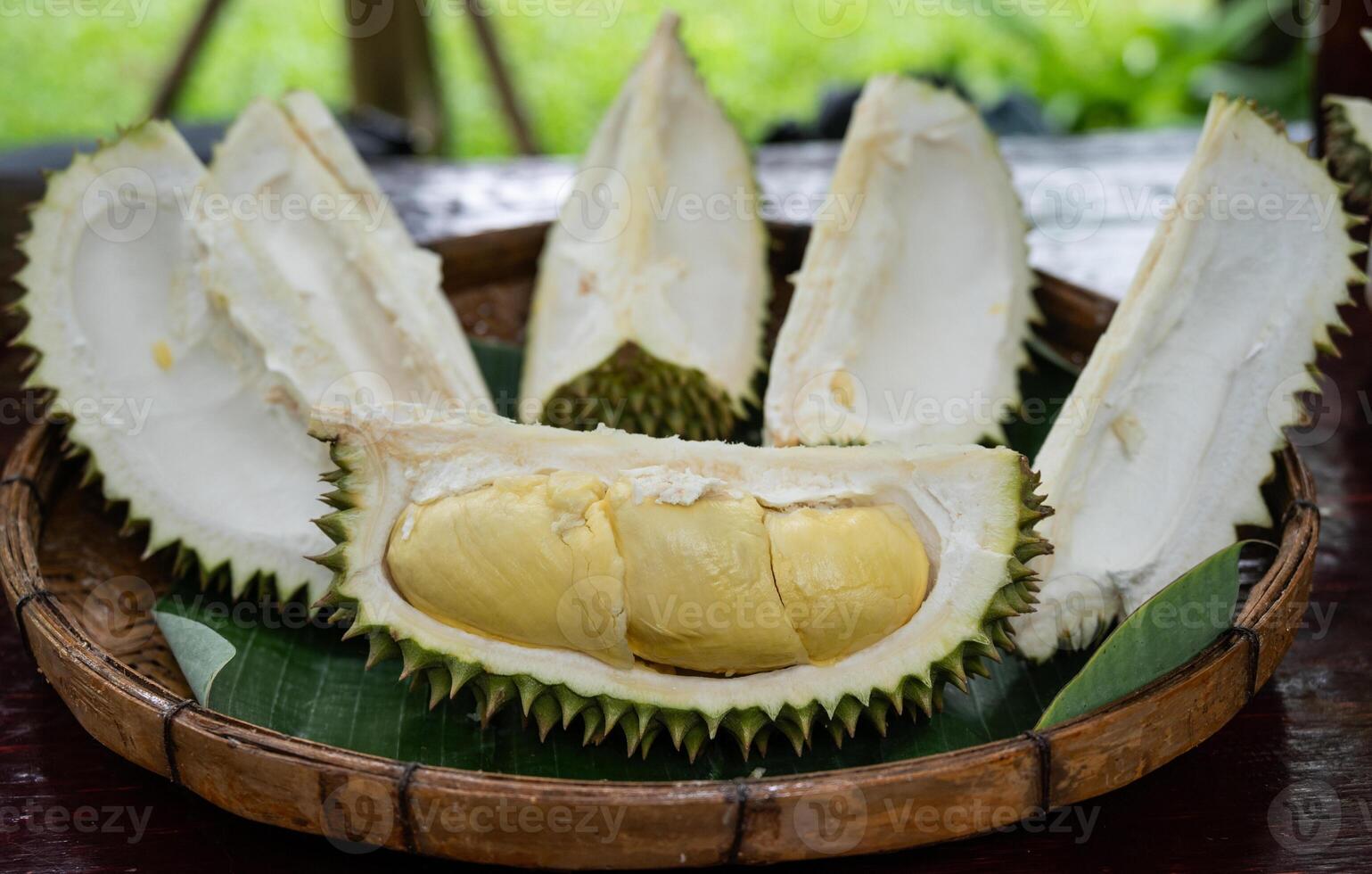 Close up of an opened durians arranging on wooden tray. Durian is a delicious tropical fruit native to Southeast Asia and is widely known as the King of Fruits. photo
