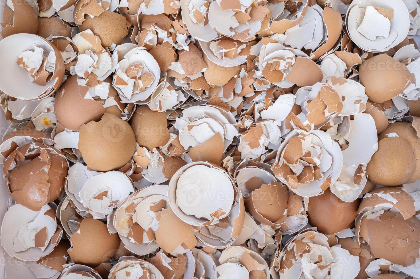 Full frame shot of crushed chicken eggshells. This organic waste is rich in calcium and other components that are essential for plant growth. photo
