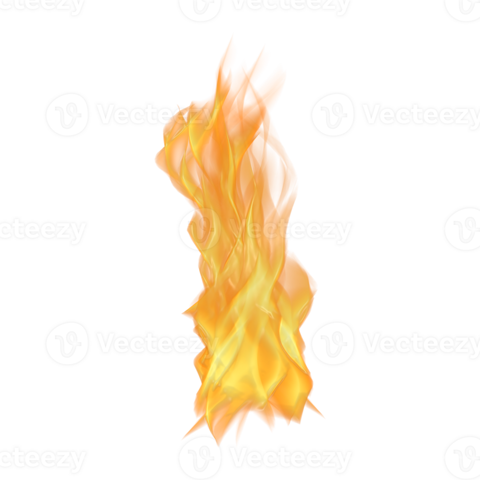 Realistic Flame Graphic Illustration png