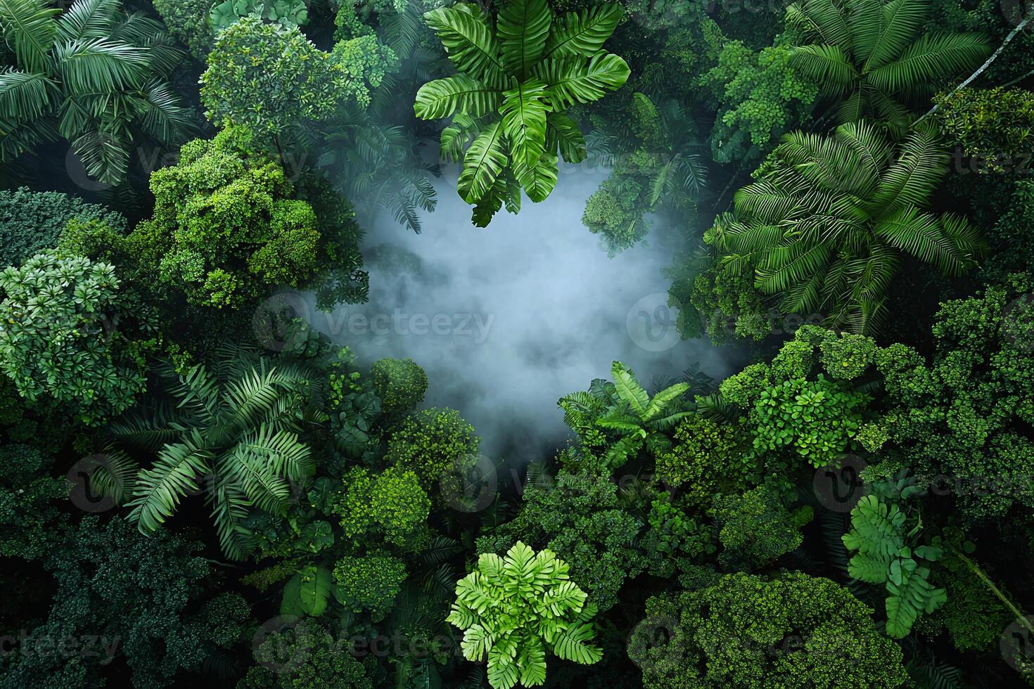 Dense rainforest canopy with mist rising, showcasing lush greenery from an aerial view photo