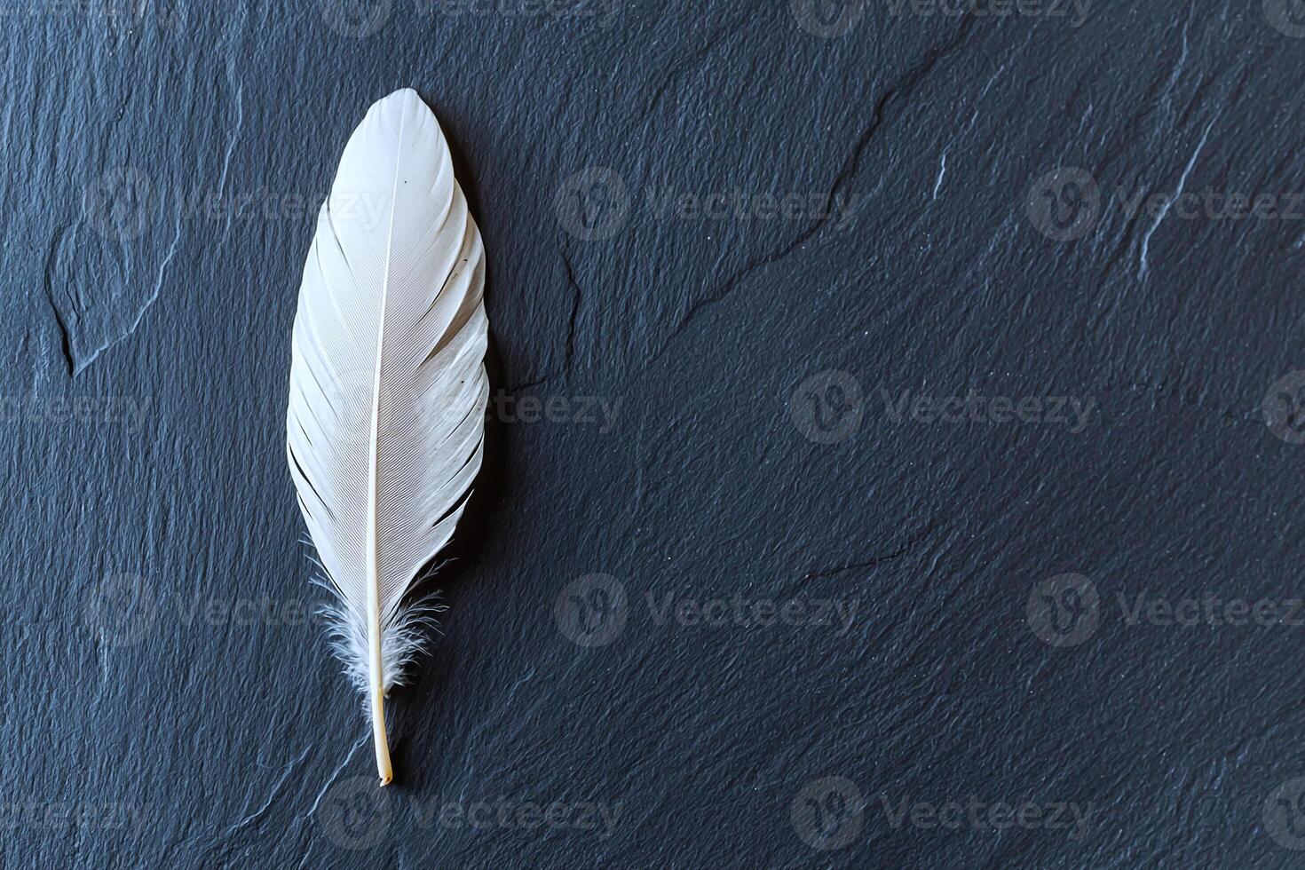 Minimal contrast of a white feather on black, evoking calm and compositional balance photo