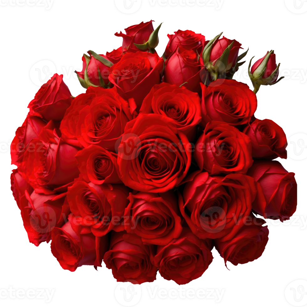 Top view bouquet red roses isolated on transparent background png