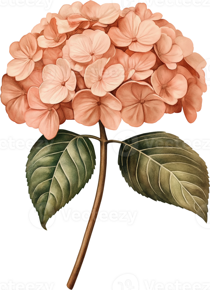 a pink flower with leaves on a stem png