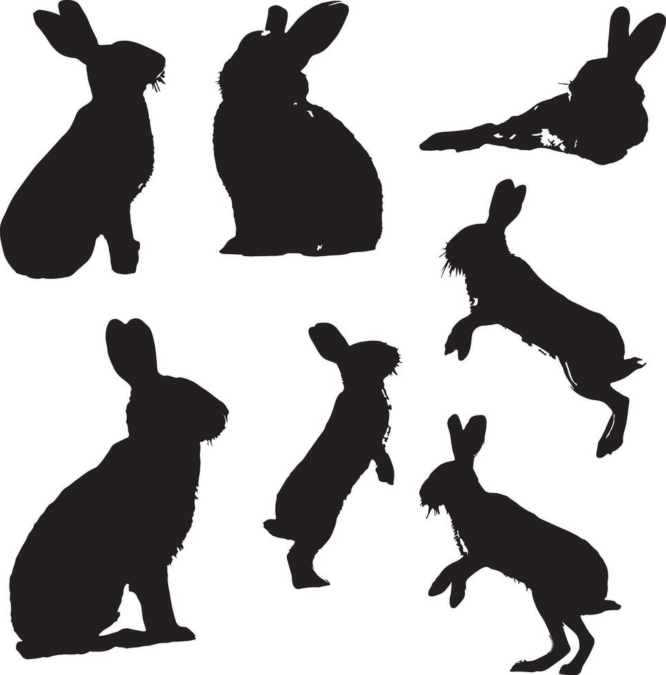 Silhouettes of Various Rabbits in Different Poses vector