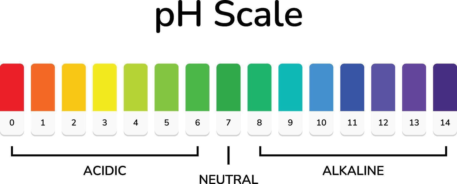 Ph Scale with indicator number vector