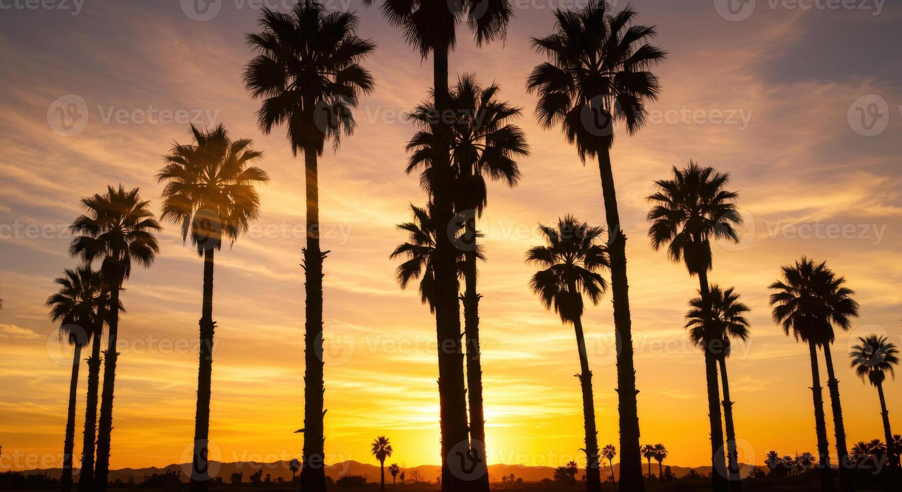 Silhouette Palm Trees Sunset Tropical Golden Sky Beach Warm Ocean Image Photo Nature Summer Exotic
