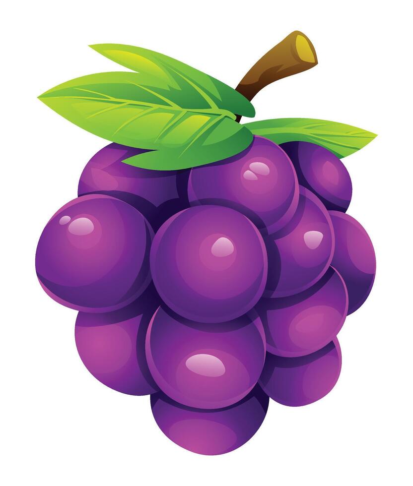 Fresh grape with leaf on top. Cartoon illustration vector