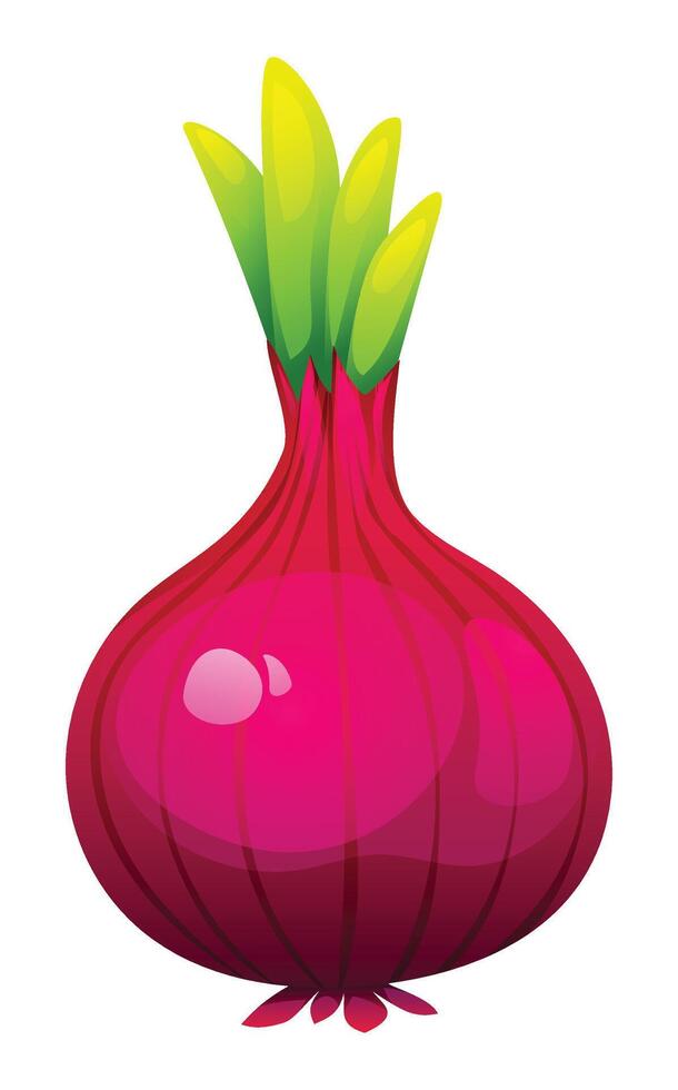 Red onion cartoon illustration isolated on white background vector