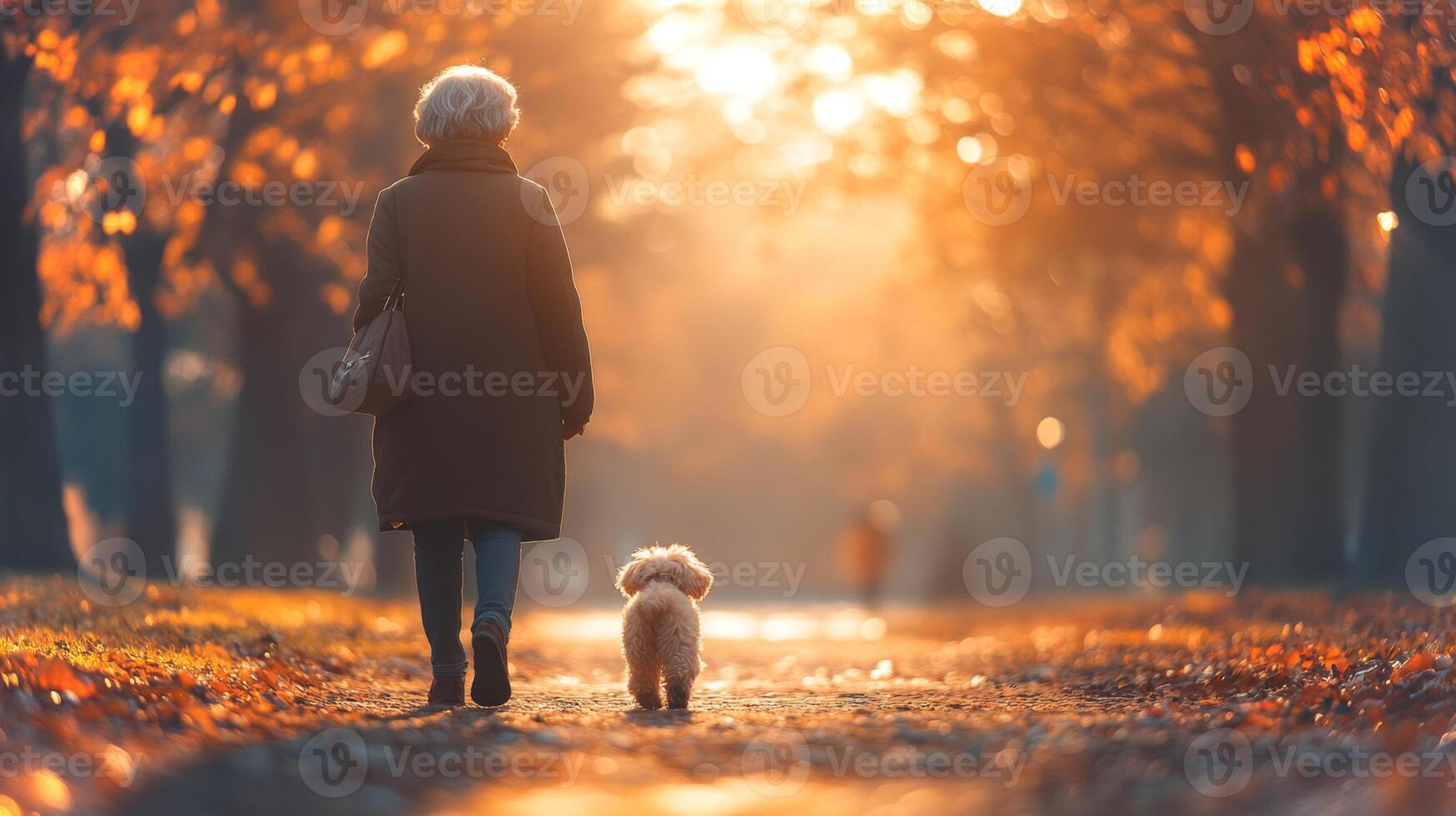 A woman in a long coat walks her small dog along a tree lined path covered with fallen leaves. The golden light of evening creates a peaceful atmosphere in the park. photo