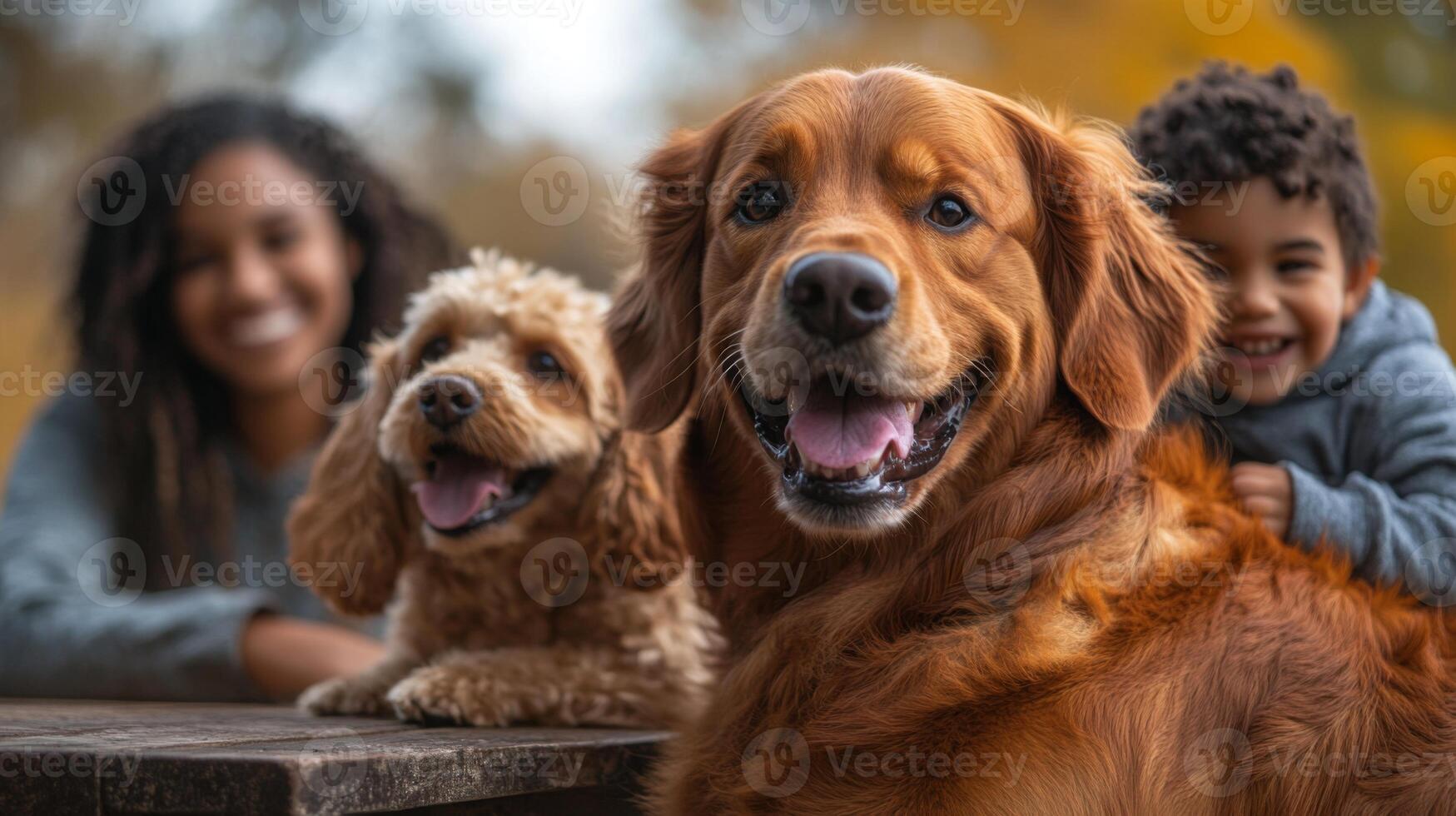 Golden retriever and poodle sit happily while a child and adult pose behind them, all enjoying a sunny autumn day in a park filled with colorful leaves. photo