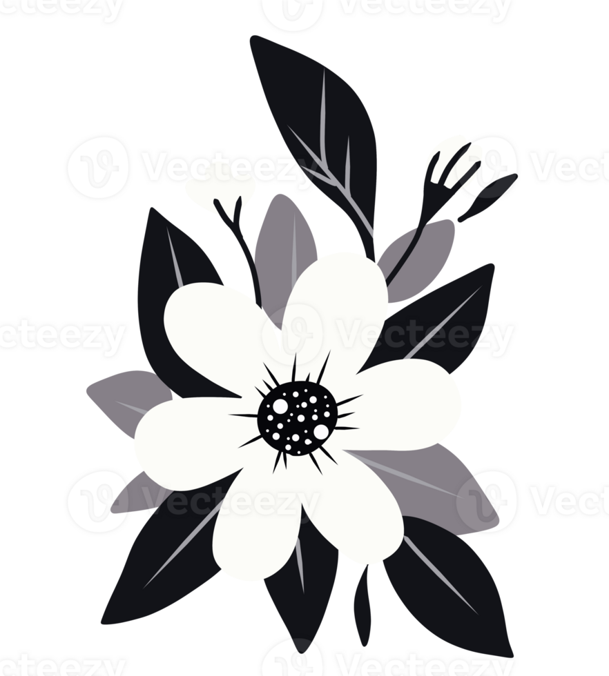 White flowers with black leaf png