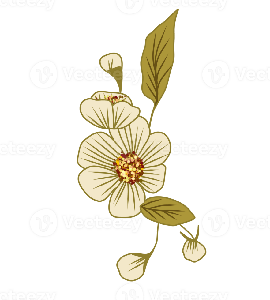 A off white flower with green leaf png